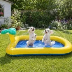 Active Canis Pet Splash Pool | 163 x 100 cm