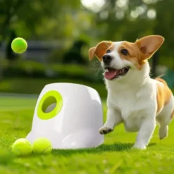 AFP Interactives | Mini Ball Launcher