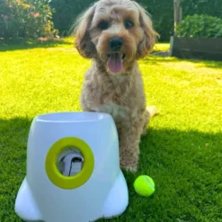 AFP Interactives | Mini Ball Launcher