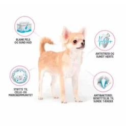 Brit Care Mini Grain Free Puppy - Lamb | Tørfoder