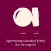 Carnilove Active Dog Salmon & Turkey, Puppy All Breeds | Tørfoder