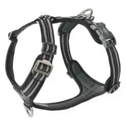 DOG Copenhagen Comfort Walk Air™ selen | Step in