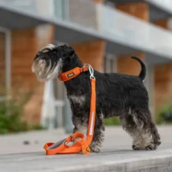 DOG Copenhagen Urban Trail™ Line
