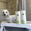 K9 Competition | Aloe Vera Conditioner