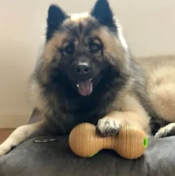 KONG Bamboo feeder dumbell