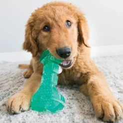 KONG Squeezz Dental Stick