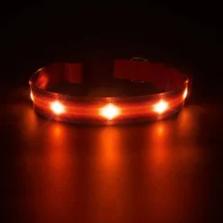LED-hundehalsbånd | Genopladelig