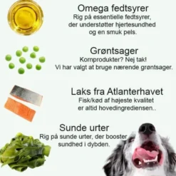 Little Big Paw Steamed Atlantic Salmon |Vådfoder 85g