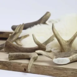 NATURBEN Dådyrgevir