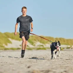 Non-Stop Dogwear Bungee Leash 2.0 | OUTLET
