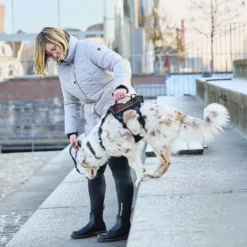 Non-Stop Dogwear Rock Harness Long | OUTLET