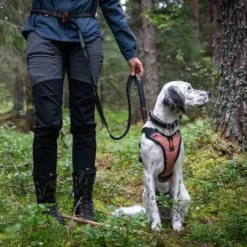 Non-stop dogwear Touring Bungee Adjustable | OUTLET