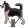 Nummerclips: Siberian Husky | OUTLET