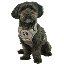 Ollipet Adventure Hundesele Sort str. XL, OUTLET