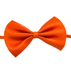 Ollipet Afstivet hundebutterfly