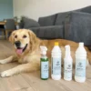 Ollipet Air Cleaner | 500ml