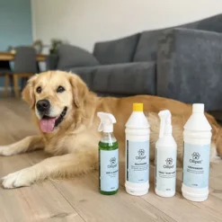 Ollipet Air Cleaner | 500ml