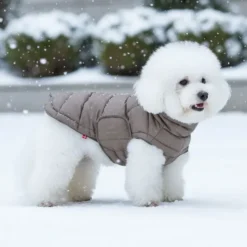 Ollipet Alpine Explorer Hundejakke