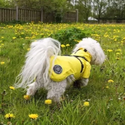 Ollipet Aqua Explorer Regnjakke med sele