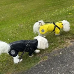 Ollipet Aqua Explorer Regnjakke med sele