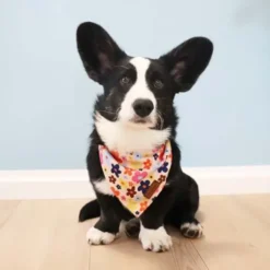 Ollipet City Lux Bandana | Sweet Flowers | OUTLET