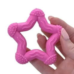 Ollipet ColorPops | Stella Star bidering