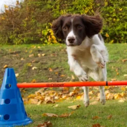 Ollipet DogFit Agility | Hurdle Cone set