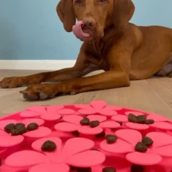 Ollipet Flip Flower Slikkemåtte
