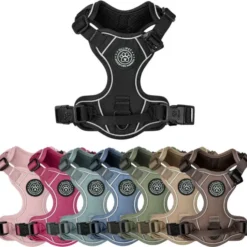 Ollipet For Wagging Tails | Adventure Hundesele 2.0