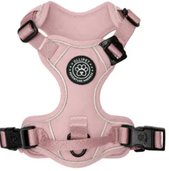 Ollipet For Wagging Tails | Adventure Hundesele 2.0
