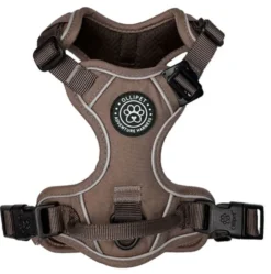 Ollipet For Wagging Tails | Adventure Hundesele 2.0