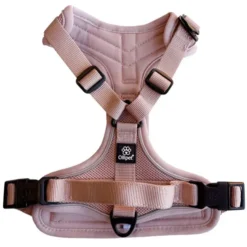 Ollipet For Wagging Tails | Airflex hundesele