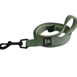 Ollipet For Wagging Tails | Hundesnor