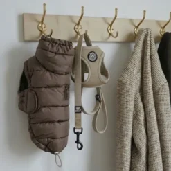 Ollipet For Wagging Tails | Step in Sele