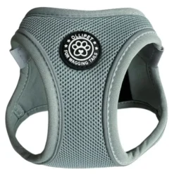 Ollipet For Wagging Tails | Step in Sele