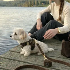 Ollipet For Wagging Tails | Velluto hundesnor