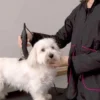 Ollipet Groomingjakke