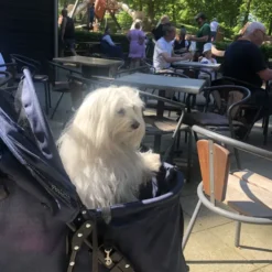 Ollipet Hundeklapvogn Venezia
