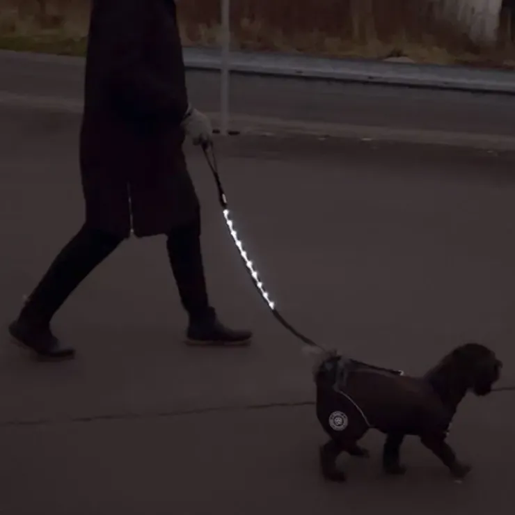 Ollipet hundesnor med LED-lys | Genopladelig | OUTLET