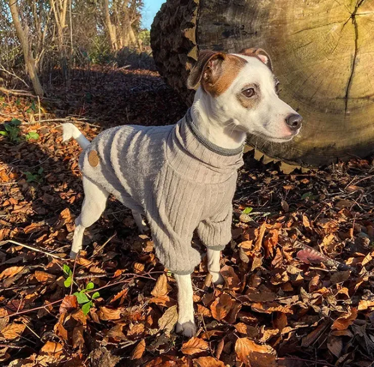 Ollipet Indigo Hyggetrøje | OUTLET