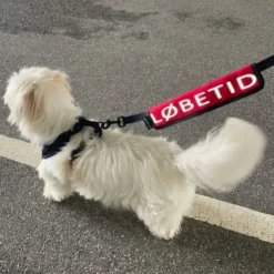 Ollipet Løbetid Mærkat