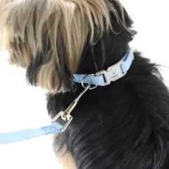 Ollipet Macaron Hundesnor