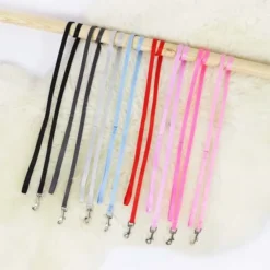 Ollipet Macaron Hundesnor