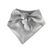 Ollipet "My parents are getting me a little baby" bandana