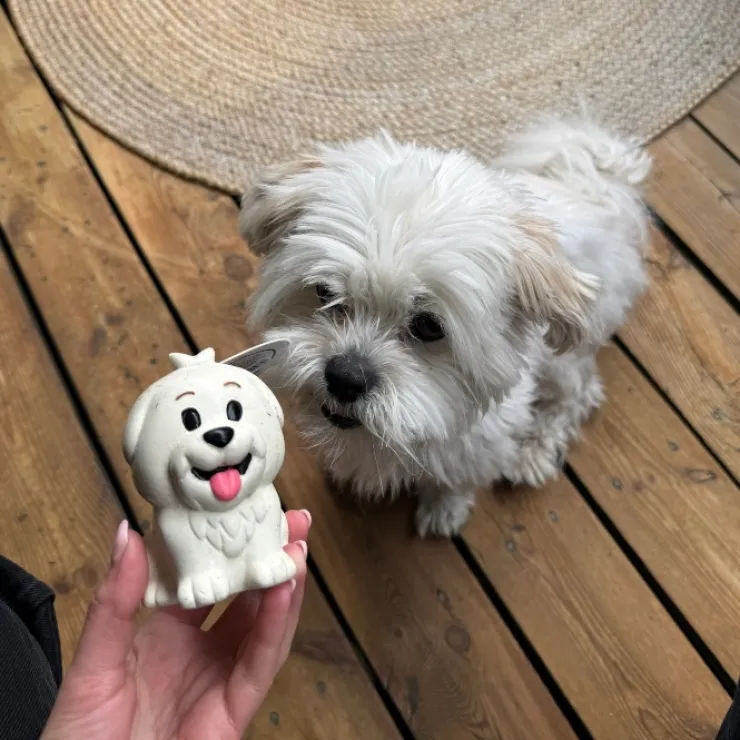 Ollipet NaturLatex Happy Puppy Ollie
