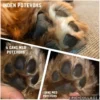 Ollipet Naturlig Potevoks | 60g