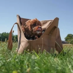 Ollipet Nice Hundetaske