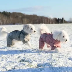 Ollipet Polar Flyverdragt