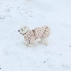 Ollipet Polar Vinterjakke