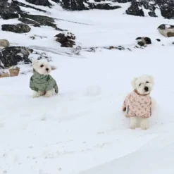 Ollipet Polar Vinterjakke